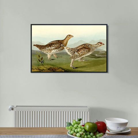 INVIN ART Framed Canvas Giclee Print Sharp tailed Grous by John James Audubon Wall Art Living Room Home Office Decorations