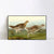 INVIN ART Framed Canvas Giclee Print Sharp tailed Grous by John James Audubon Wall Art Living Room Home Office Decorations