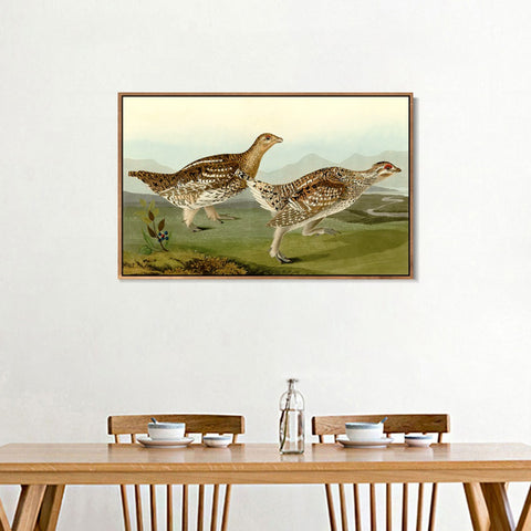 INVIN ART Framed Canvas Giclee Print Sharp tailed Grous by John James Audubon Wall Art Living Room Home Office Decorations
