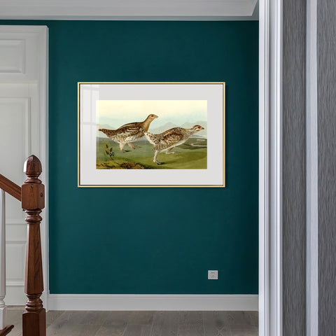 INVIN ART Metal Framed Canvas Giclee Print Sharp tailed Grous by John James Audubon Wall Art Living Room Home Office Decorations