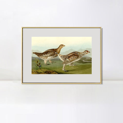 INVIN ART Metal Framed Canvas Giclee Print Sharp tailed Grous by John James Audubon Wall Art Living Room Home Office Decorations