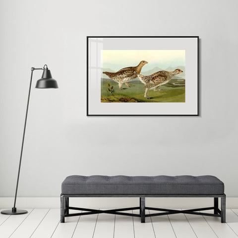 INVIN ART Metal Framed Canvas Giclee Print Sharp tailed Grous by John James Audubon Wall Art Living Room Home Office Decorations