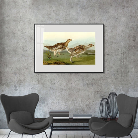 INVIN ART Metal Framed Canvas Giclee Print Sharp tailed Grous by John James Audubon Wall Art Living Room Home Office Decorations