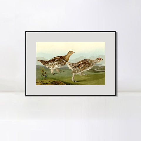 INVIN ART Metal Framed Canvas Giclee Print Sharp tailed Grous by John James Audubon Wall Art Living Room Home Office Decorations