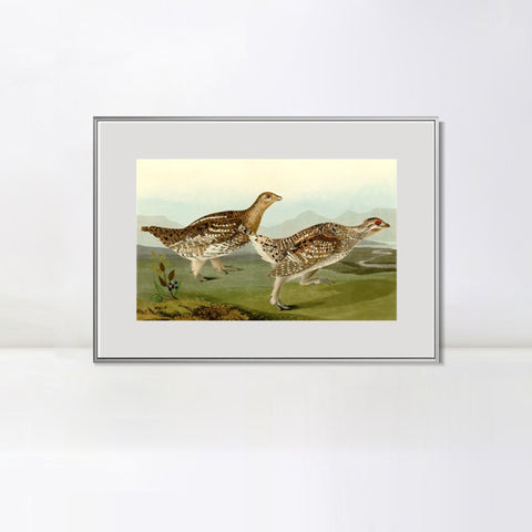 INVIN ART Metal Framed Canvas Giclee Print Sharp tailed Grous by John James Audubon Wall Art Living Room Home Office Decorations