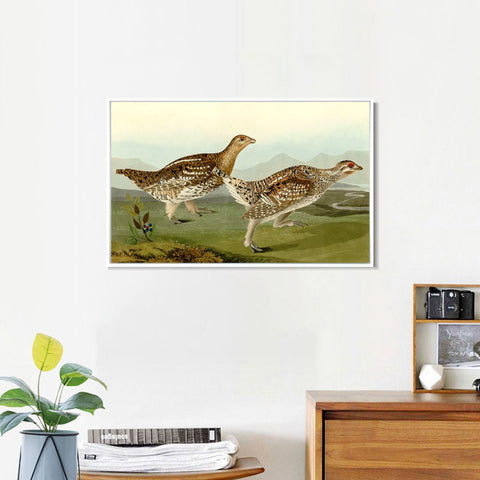 INVIN ART Framed Canvas Giclee Print Sharp tailed Grous by John James Audubon Wall Art Living Room Home Office Decorations