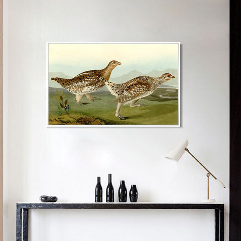 INVIN ART Framed Canvas Giclee Print Sharp tailed Grous by John James Audubon Wall Art Living Room Home Office Decorations