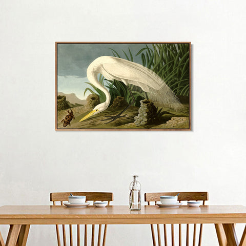 INVIN ART Framed Canvas Giclee Print White Heron by John James Audubon Wall Art Living Room Home Office Decorations