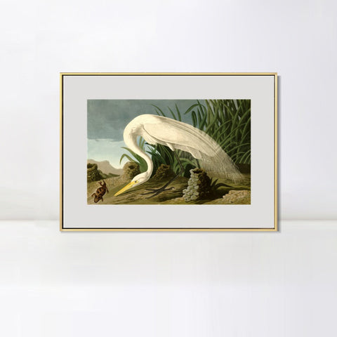INVIN ART Metal Framed Canvas Giclee Print White Heron by John James Audubon Wall Art Living Room Home Office Decorations