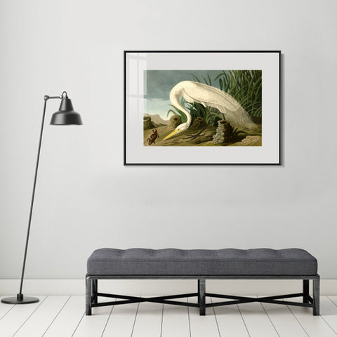 INVIN ART Metal Framed Canvas Giclee Print White Heron by John James Audubon Wall Art Living Room Home Office Decorations
