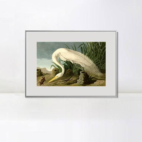 INVIN ART Metal Framed Canvas Giclee Print White Heron by John James Audubon Wall Art Living Room Home Office Decorations