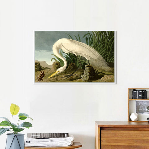INVIN ART Framed Canvas Giclee Print White Heron by John James Audubon Wall Art Living Room Home Office Decorations