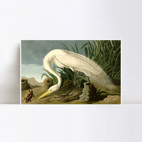 INVIN ART Framed Canvas Giclee Print White Heron by John James Audubon Wall Art Living Room Home Office Decorations