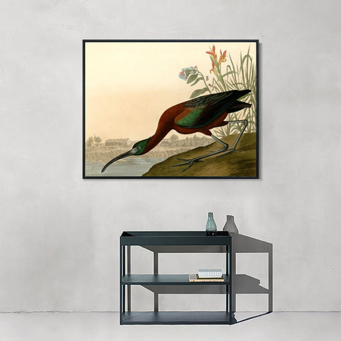 INVIN ART Framed Canvas Giclee Print Glossy Ibis by John James Audubon Wall Art Living Room Home Office Decorations