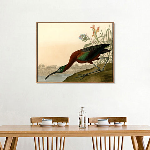 INVIN ART Framed Canvas Giclee Print Glossy Ibis by John James Audubon Wall Art Living Room Home Office Decorations