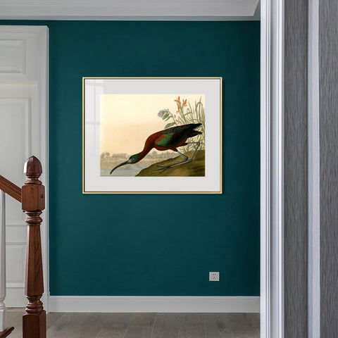 INVIN ART Metal Framed Canvas Giclee Print Glossy Ibis by John James Audubon Wall Art Living Room Home Office Decorations