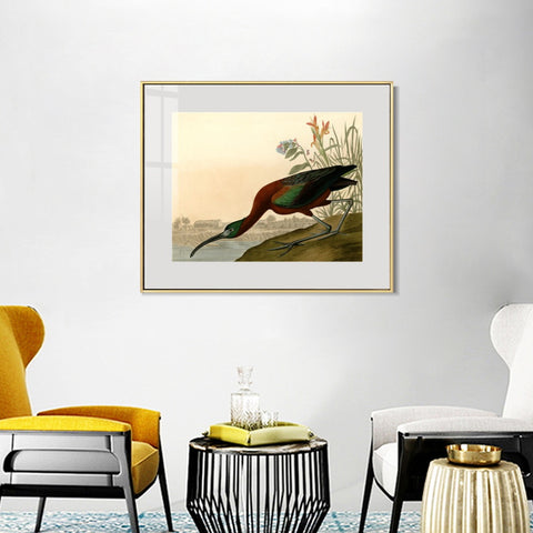 INVIN ART Metal Framed Canvas Giclee Print Glossy Ibis by John James Audubon Wall Art Living Room Home Office Decorations