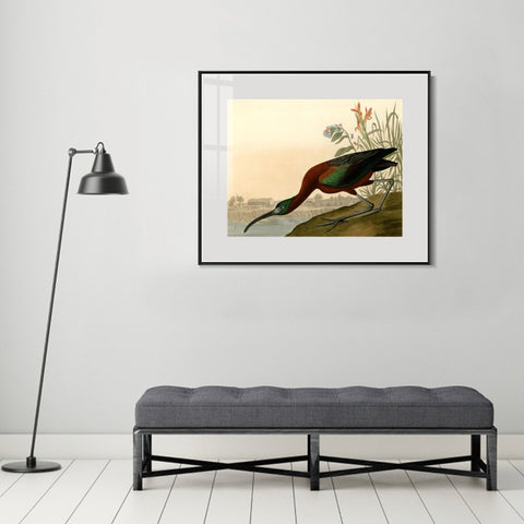 INVIN ART Metal Framed Canvas Giclee Print Glossy Ibis by John James Audubon Wall Art Living Room Home Office Decorations