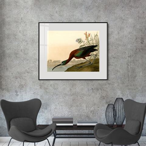 INVIN ART Metal Framed Canvas Giclee Print Glossy Ibis by John James Audubon Wall Art Living Room Home Office Decorations