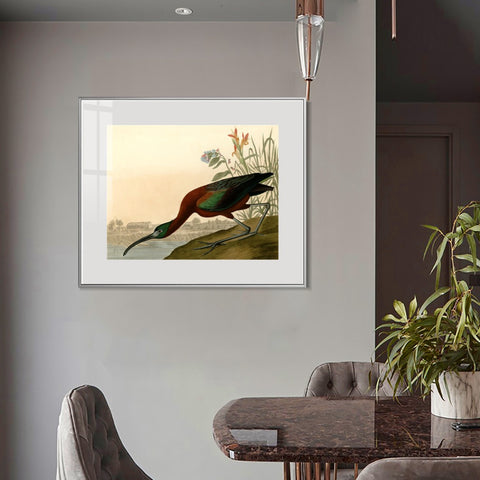 INVIN ART Metal Framed Canvas Giclee Print Glossy Ibis by John James Audubon Wall Art Living Room Home Office Decorations