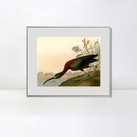 INVIN ART Metal Framed Canvas Giclee Print Glossy Ibis by John James Audubon Wall Art Living Room Home Office Decorations