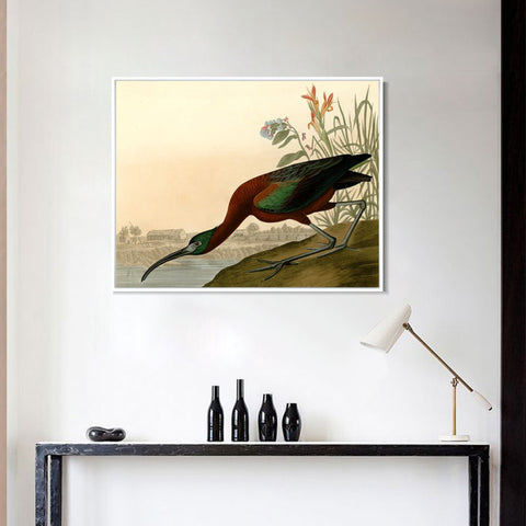 INVIN ART Framed Canvas Giclee Print Glossy Ibis by John James Audubon Wall Art Living Room Home Office Decorations
