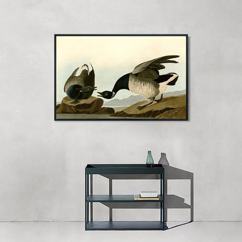 INVIN ART Framed Canvas Giclee Print Series#105 by John James Audubon Wall Art Living Room Home Office Decorations