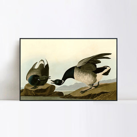 INVIN ART Framed Canvas Giclee Print Series#105 by John James Audubon Wall Art Living Room Home Office Decorations