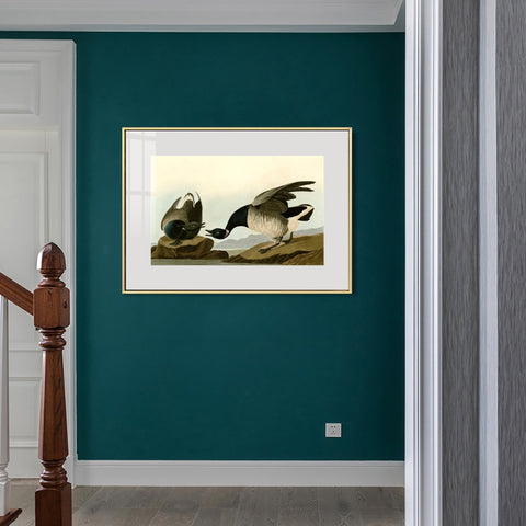 INVIN ART Metal Framed Canvas Giclee Print Series#105 by John James Audubon Wall Art Living Room Home Office Decorations