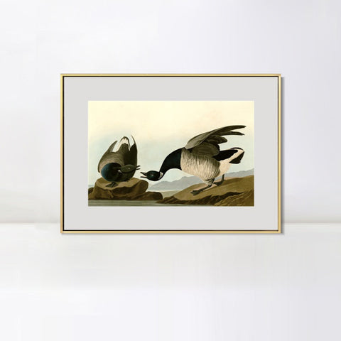 INVIN ART Metal Framed Canvas Giclee Print Series#105 by John James Audubon Wall Art Living Room Home Office Decorations