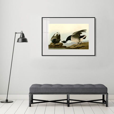 INVIN ART Metal Framed Canvas Giclee Print Series#105 by John James Audubon Wall Art Living Room Home Office Decorations