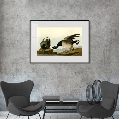 INVIN ART Metal Framed Canvas Giclee Print Series#105 by John James Audubon Wall Art Living Room Home Office Decorations