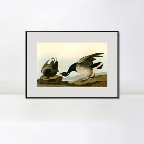 INVIN ART Metal Framed Canvas Giclee Print Series#105 by John James Audubon Wall Art Living Room Home Office Decorations