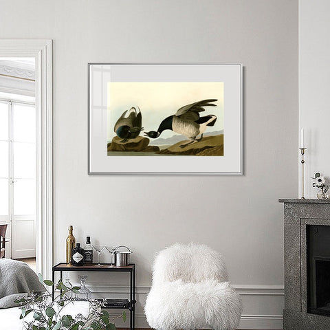 INVIN ART Metal Framed Canvas Giclee Print Series#105 by John James Audubon Wall Art Living Room Home Office Decorations