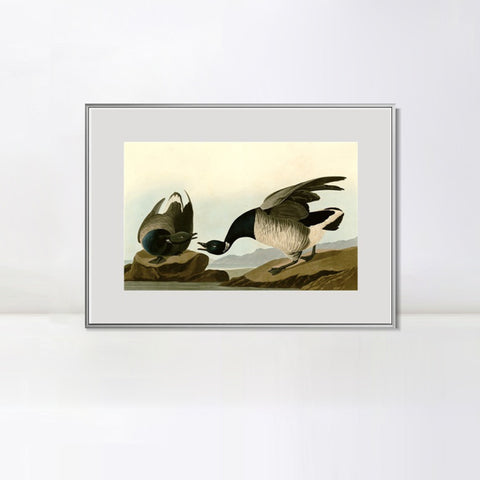 INVIN ART Metal Framed Canvas Giclee Print Series#105 by John James Audubon Wall Art Living Room Home Office Decorations