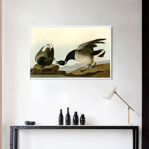 INVIN ART Framed Canvas Giclee Print Series#105 by John James Audubon Wall Art Living Room Home Office Decorations