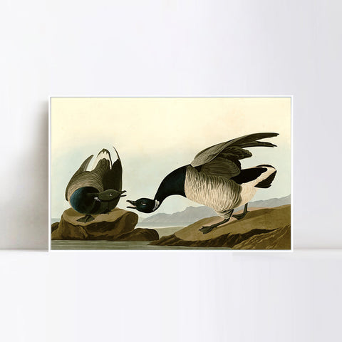 INVIN ART Framed Canvas Giclee Print Series#105 by John James Audubon Wall Art Living Room Home Office Decorations