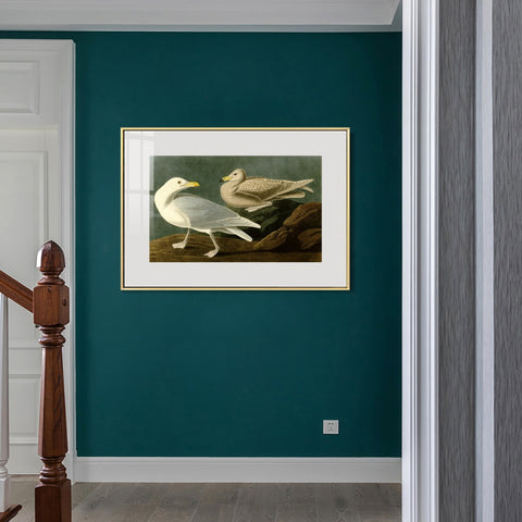 INVIN ART Metal Framed Canvas Giclee Print Burgomaster Gull by John James Audubon Wall Art Living Room Home Office Decorations