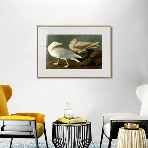INVIN ART Metal Framed Canvas Giclee Print Burgomaster Gull by John James Audubon Wall Art Living Room Home Office Decorations