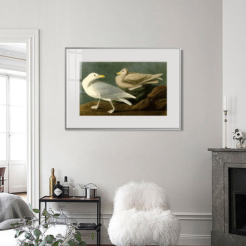 INVIN ART Metal Framed Canvas Giclee Print Burgomaster Gull by John James Audubon Wall Art Living Room Home Office Decorations