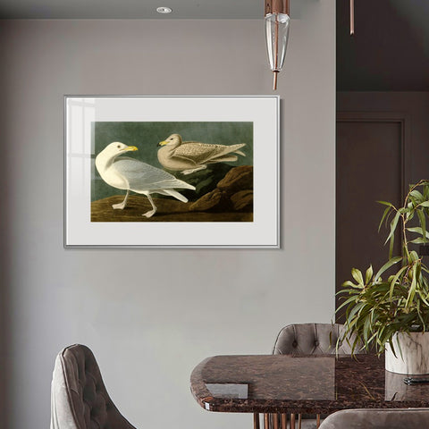 INVIN ART Metal Framed Canvas Giclee Print Burgomaster Gull by John James Audubon Wall Art Living Room Home Office Decorations