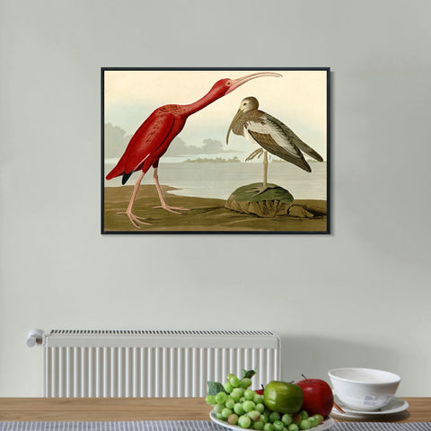INVIN ART Framed Canvas Giclee Print Scarlet Ibis by John James Audubon Wall Art Living Room Home Office Decorations