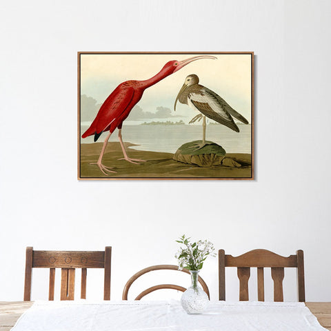 INVIN ART Framed Canvas Giclee Print Scarlet Ibis by John James Audubon Wall Art Living Room Home Office Decorations
