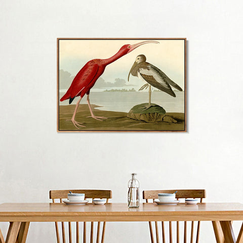 INVIN ART Framed Canvas Giclee Print Scarlet Ibis by John James Audubon Wall Art Living Room Home Office Decorations