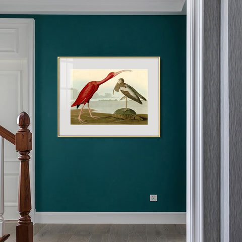INVIN ART Metal Framed Canvas Giclee Print Scarlet Ibis by John James Audubon Wall Art Living Room Home Office Decorations