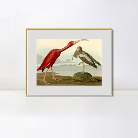 INVIN ART Metal Framed Canvas Giclee Print Scarlet Ibis by John James Audubon Wall Art Living Room Home Office Decorations