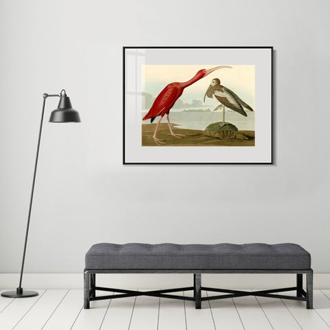 INVIN ART Metal Framed Canvas Giclee Print Scarlet Ibis by John James Audubon Wall Art Living Room Home Office Decorations