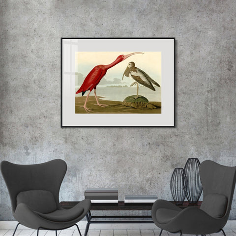 INVIN ART Metal Framed Canvas Giclee Print Scarlet Ibis by John James Audubon Wall Art Living Room Home Office Decorations