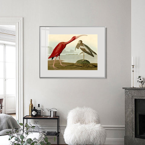 INVIN ART Metal Framed Canvas Giclee Print Scarlet Ibis by John James Audubon Wall Art Living Room Home Office Decorations