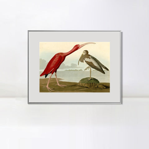 INVIN ART Metal Framed Canvas Giclee Print Scarlet Ibis by John James Audubon Wall Art Living Room Home Office Decorations